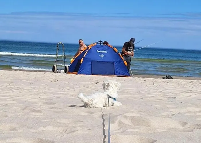 Shellter Sun&sea Kolo Kolobrzegu_dzwirzyno_nocleg Apartamento